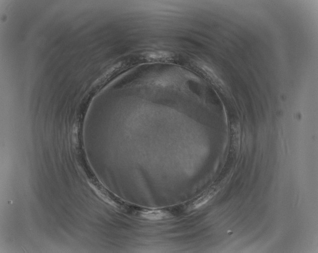 X0000080660269200612301342