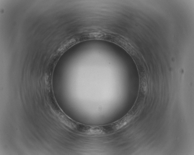 X0000080660270200612301343