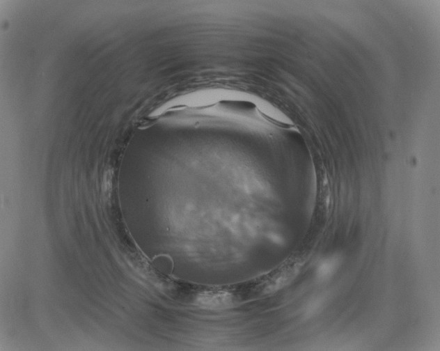 X0000080660271200612301343