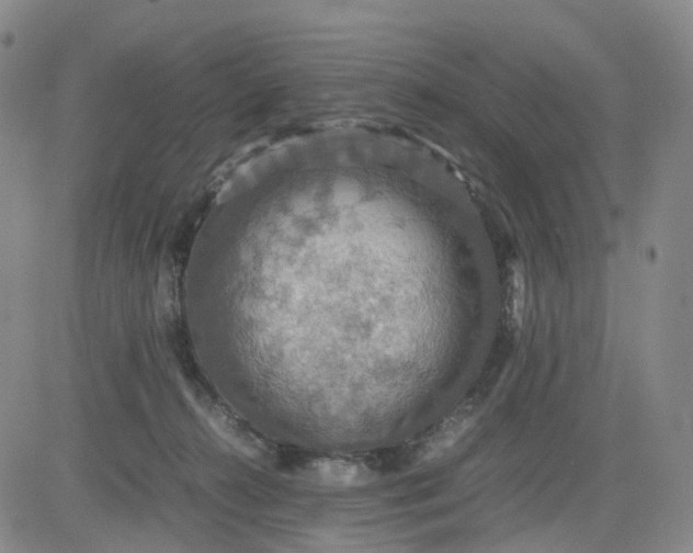 X0000080660272200612301343