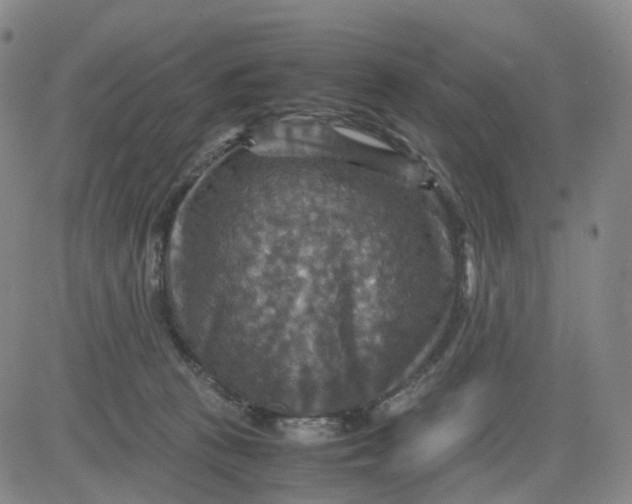 X0000080660273200612301343