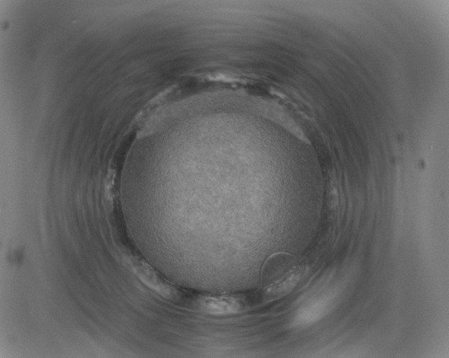 X0000080660275200612301343