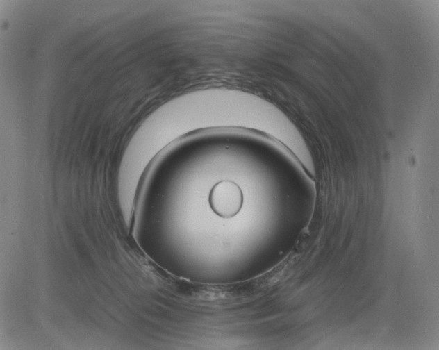 X0000080660276200612301343