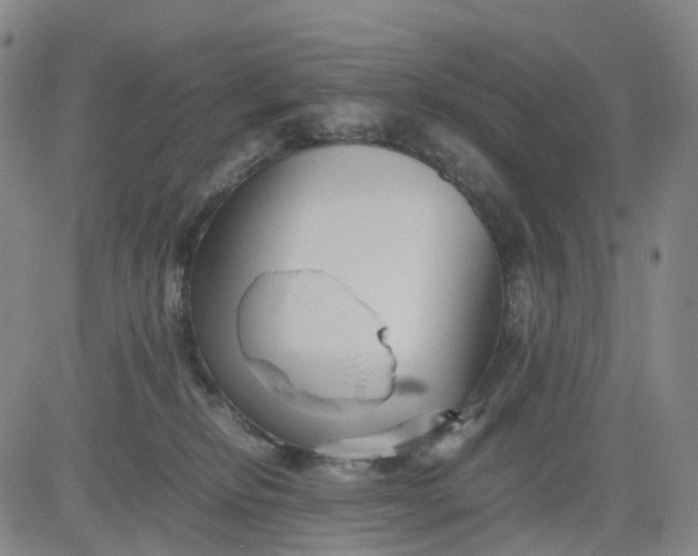 X0000080660278200612301343