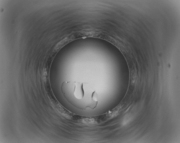 X0000080660279200612301343