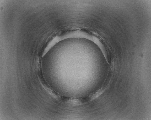 X0000080660280200612301343