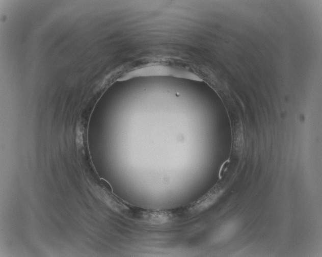 X0000080660282200612301343