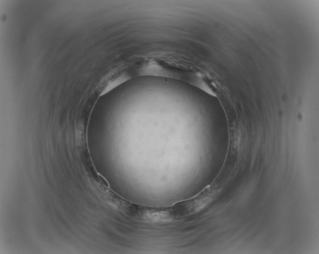 X0000080660283200612301343