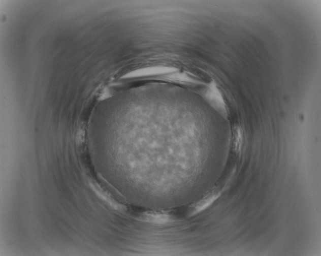 X0000080660284200612301343