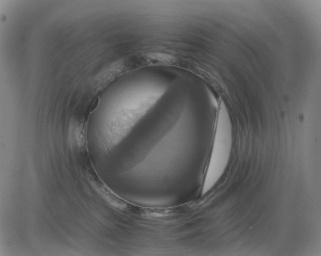 X0000080660285200612301343