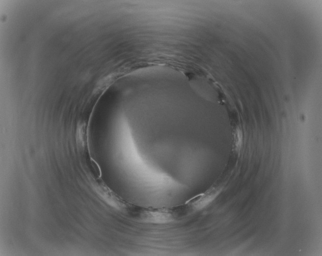 X0000080660286200612301343