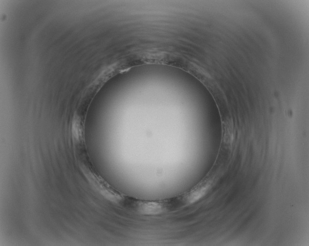 X0000080660287200612301343