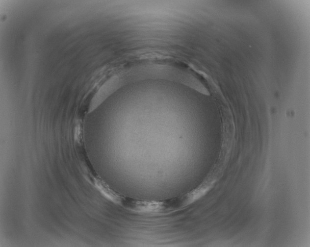 X0000080660288200612301343