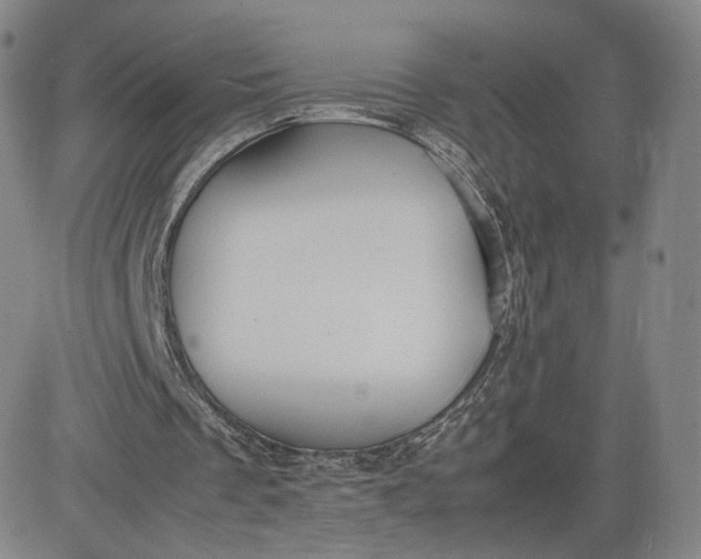 X0000080660289200612301342