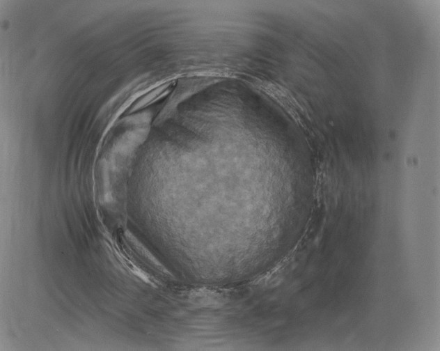 X0000080660290200612301342