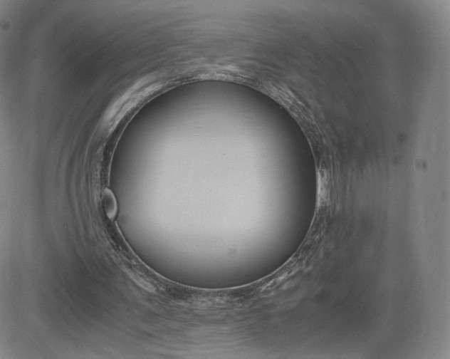 X0000080660291200612301342