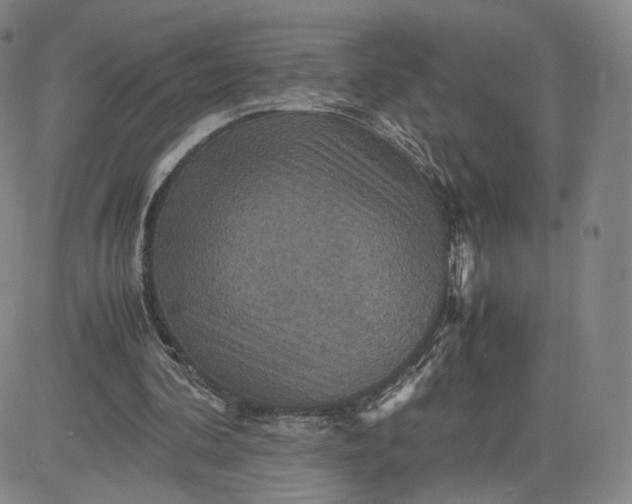 X0000080660292200612301342