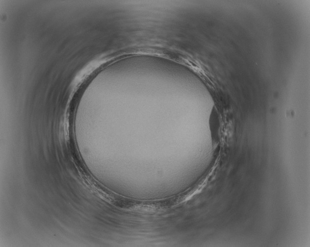 X0000080660294200612301342