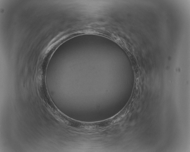 X0000080660295200612301342