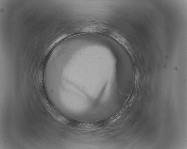 X0000080660297200612301342