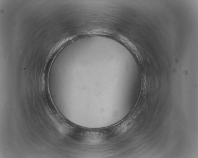 X0000080660298200612301342