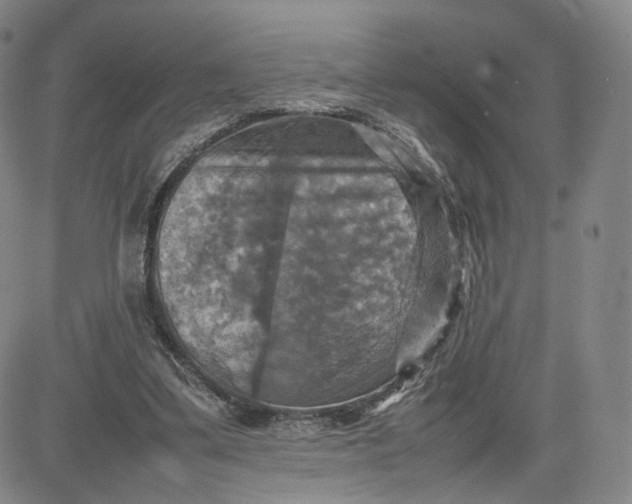 X0000080660299200612301342