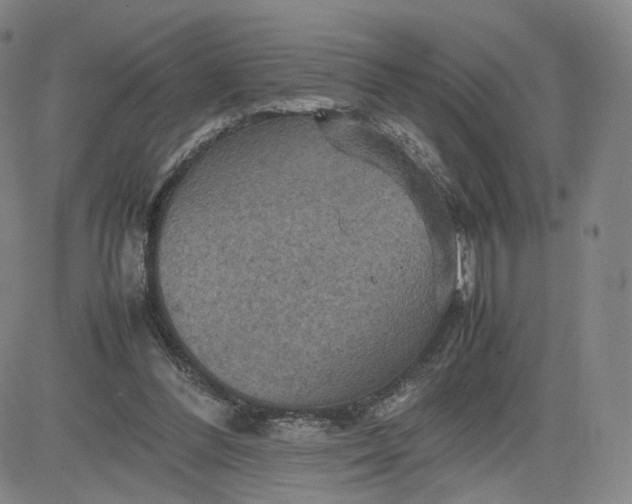 X0000080660300200612301342