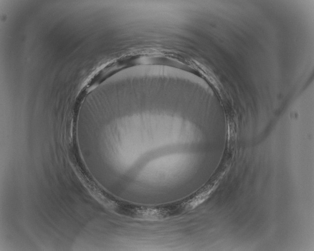 X0000080660301200612301342