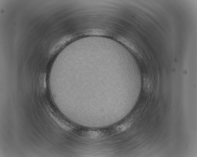 X0000080660302200612301342