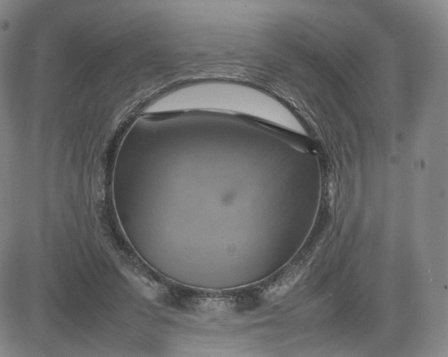 X0000080660303200612301342