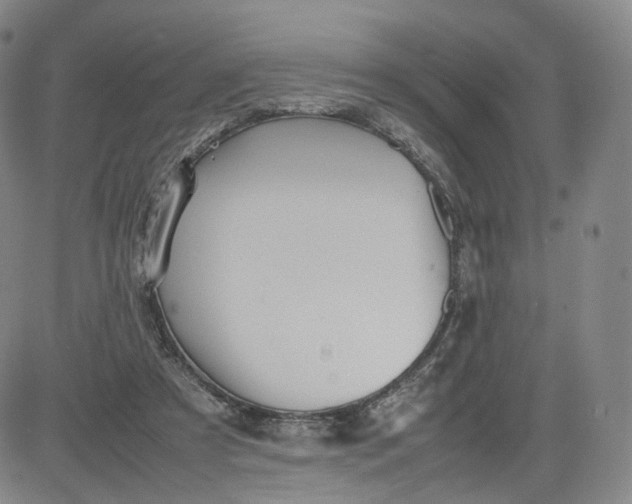 X0000080660305200612301342