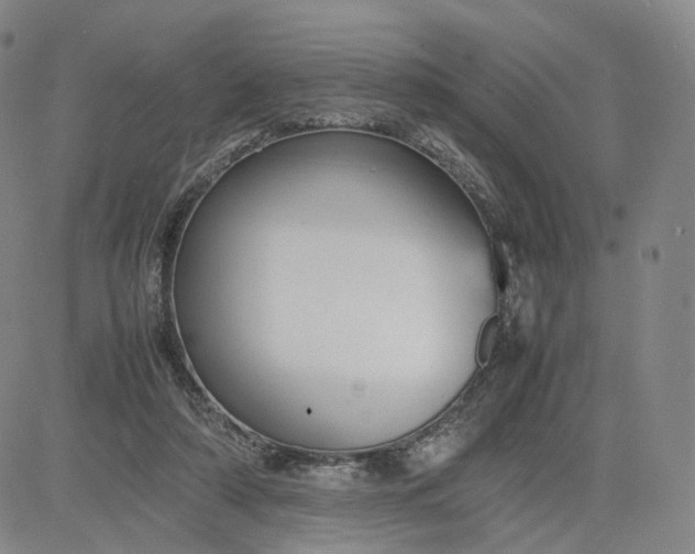 X0000080660306200612301342