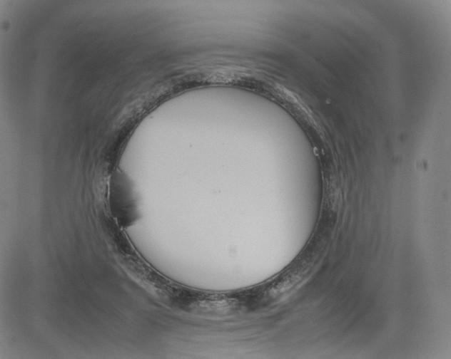 X0000080660307200612301342