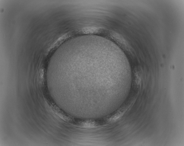 X0000080660308200612301342