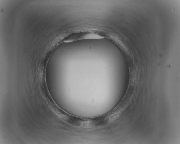 X0000080660309200612301342