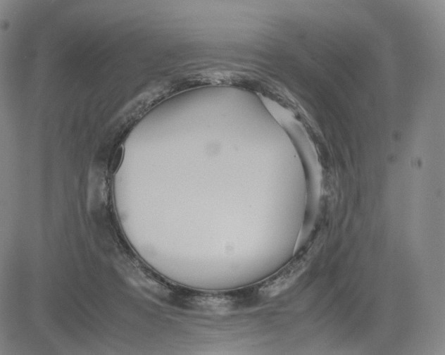 X0000080660313200612301342