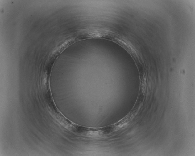 X0000080660314200612301342