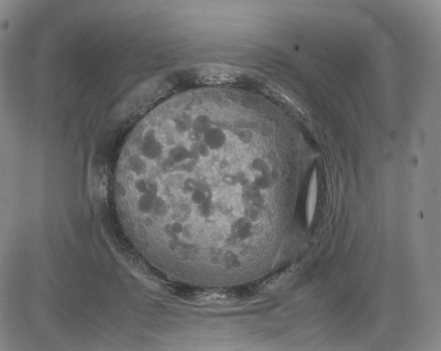 X0000080660315200612301342