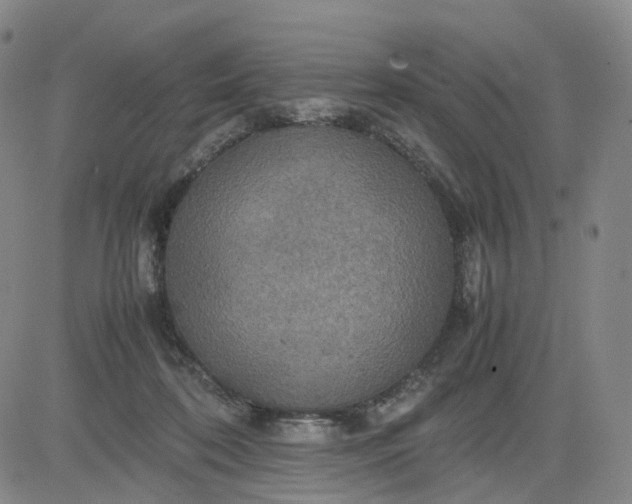 X0000080660316200612301342