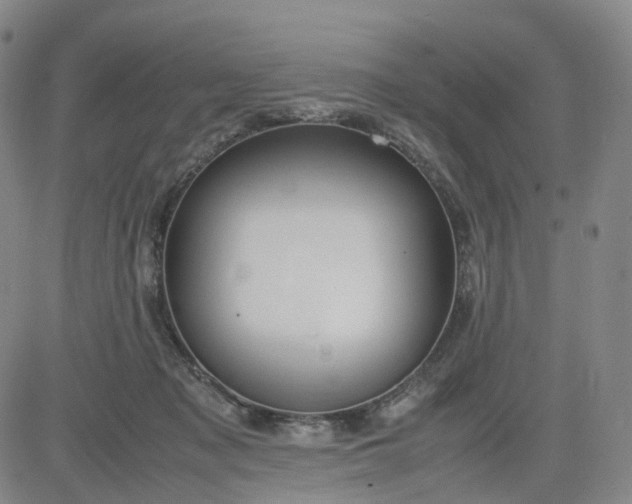 X0000080660317200612301342