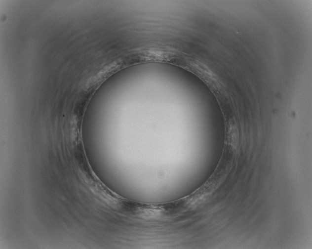 X0000080660318200612301342