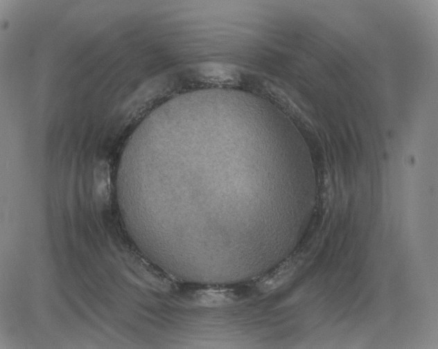 X0000080660320200612301342