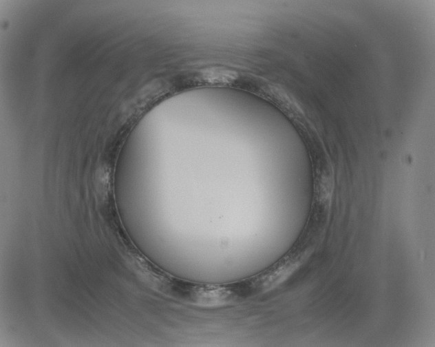 X0000080660321200612301341