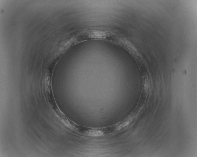 X0000080660322200612301341