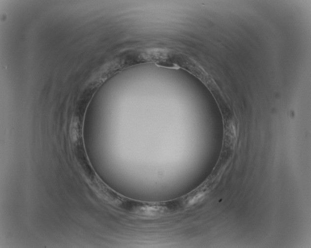 X0000080660323200612301341