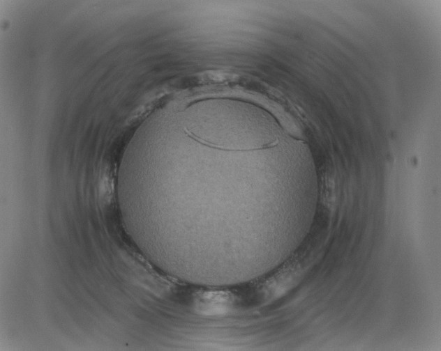 X0000080660324200612301341