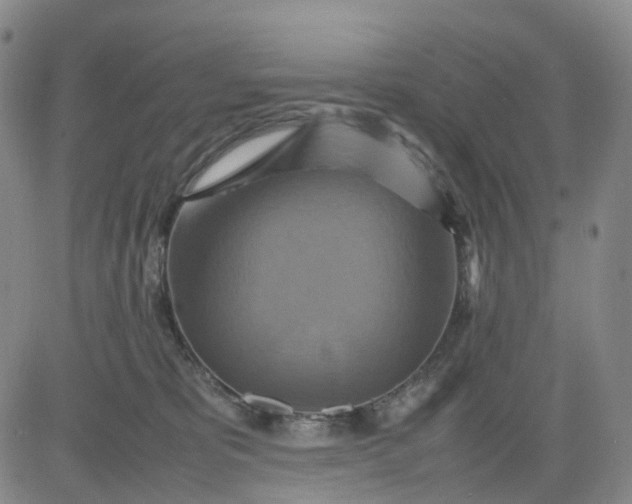 X0000080660325200612301341