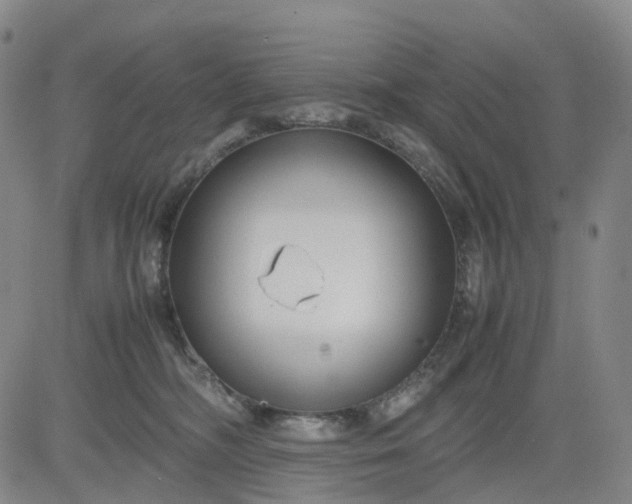 X0000080660326200612301341