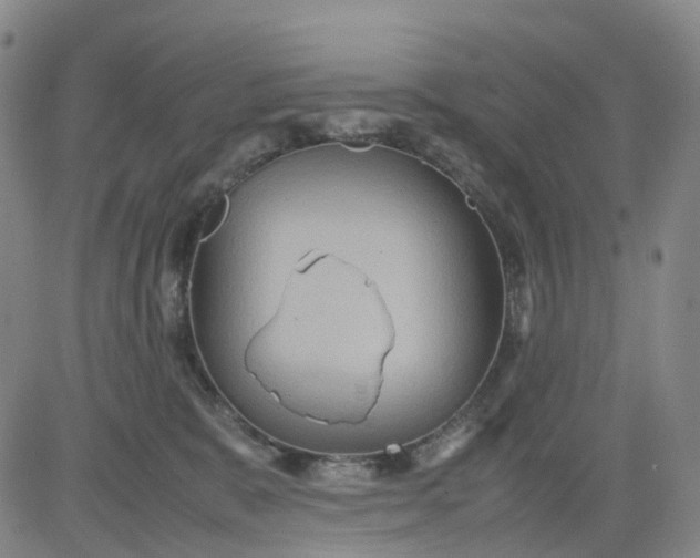 X0000080660327200612301341