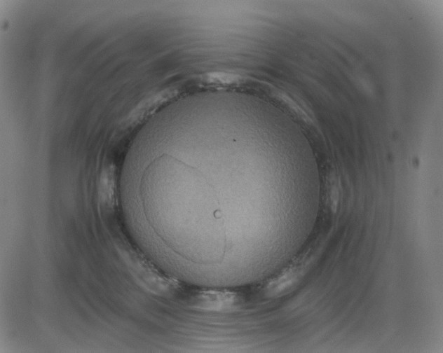 X0000080660328200612301341